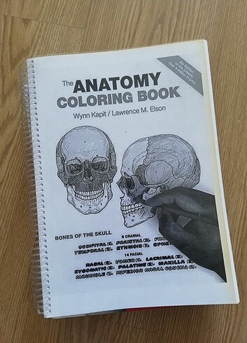 İngilizce anatomi Atlası 