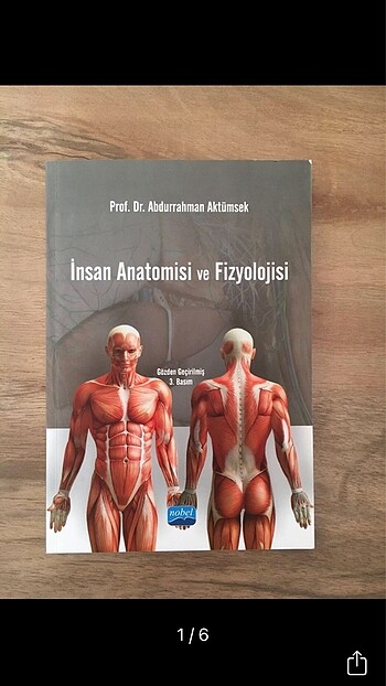 İnsan Anatomisi ve Fizyolojisi