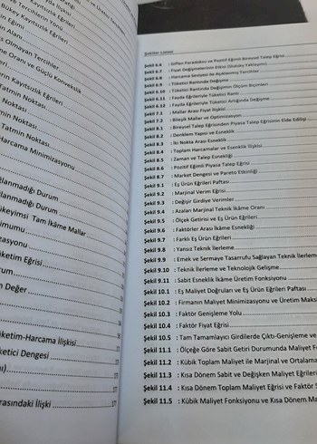 Mikroekonomi: Tüketici, Üretici ve Piyasa Teorisi - Görsel 2