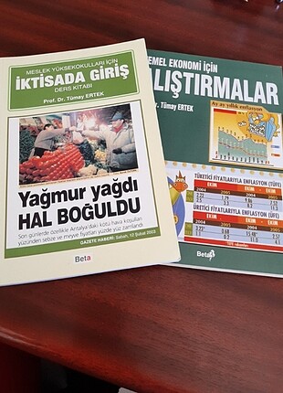 Temel ekonomi alıştırma kitabı