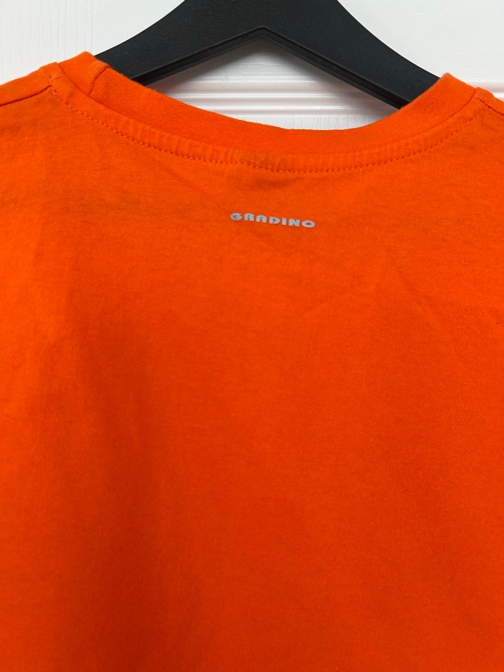 Turuncu Erkek Kısa Kollu Tişört - Görsel 3