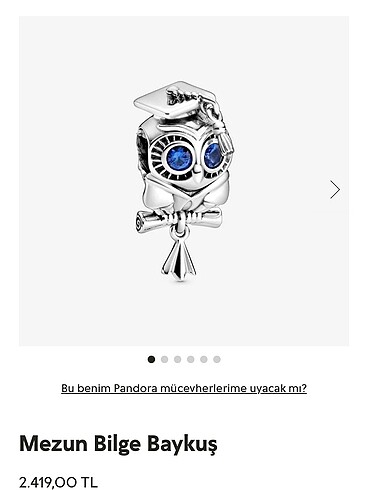 Pandora Mezun Bilge Baykuş Charm
