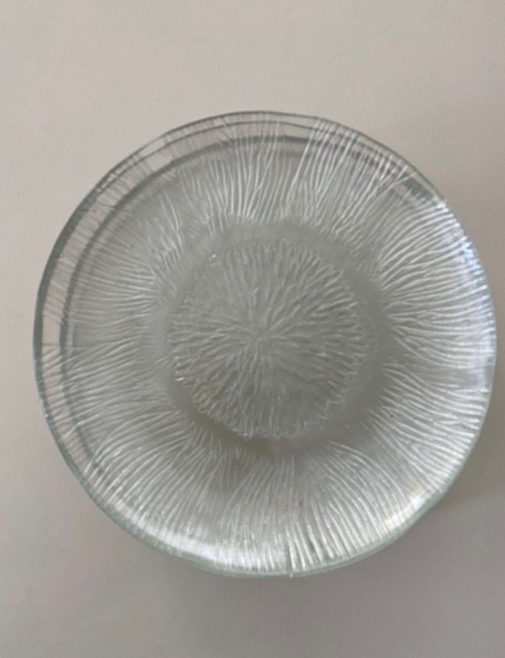 6 Adet Cam Pasta Tabağı - Görsel 5