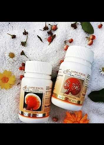 Ganoderma