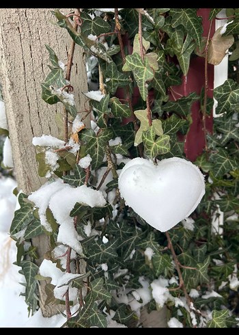 Kalp Şekilli kalıp kar kalıbı - Görsel 2