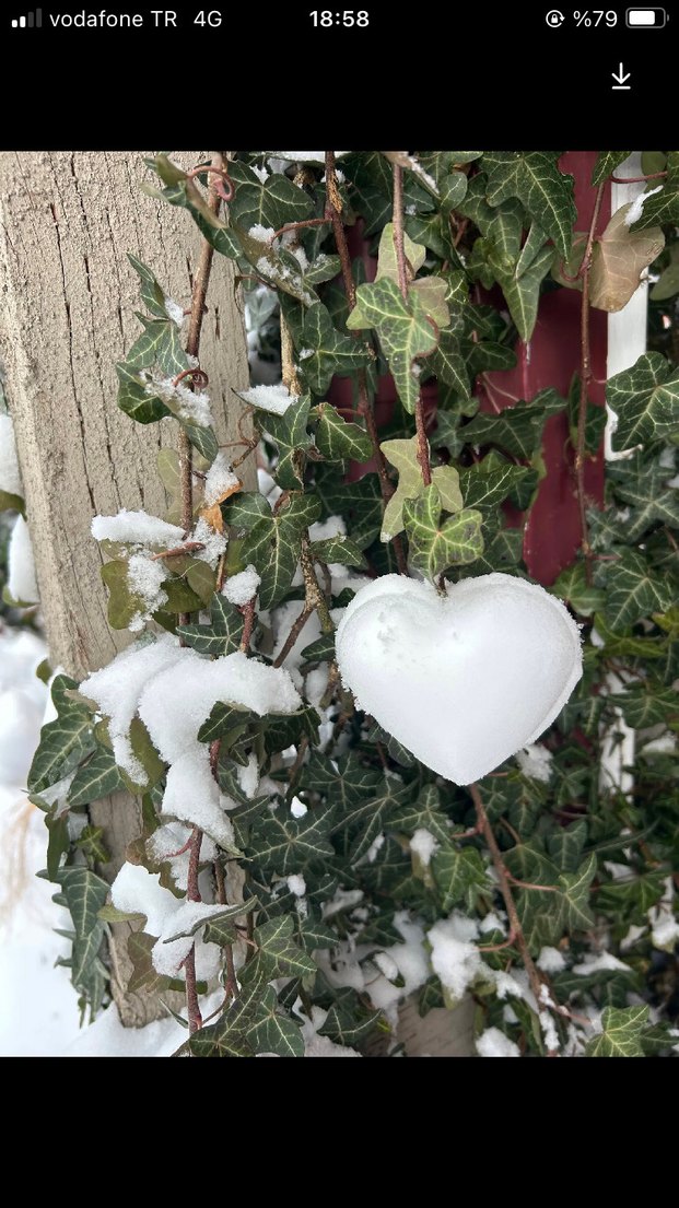 Kalp Şekilli kalıp kar kalıbı - Görsel 2