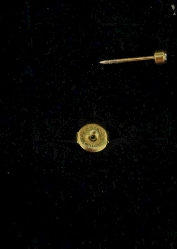 Accessorize Cerrahi çelik tek taş piercing küpe