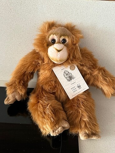 Wwf orangutan