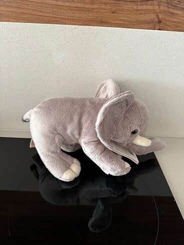  Beden WWF FİL