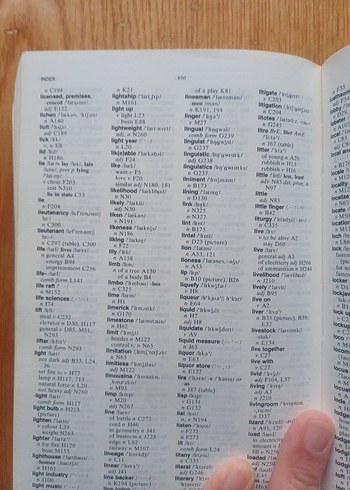 Longman Lexicon of Contemporary English Sözlüğü - Görsel 3