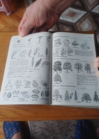 Longman Lexicon of Contemporary English Sözlüğü - Görsel 5