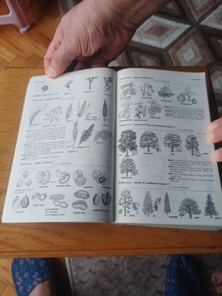 Longman Lexicon of Contemporary English Sözlüğü - Görsel 5