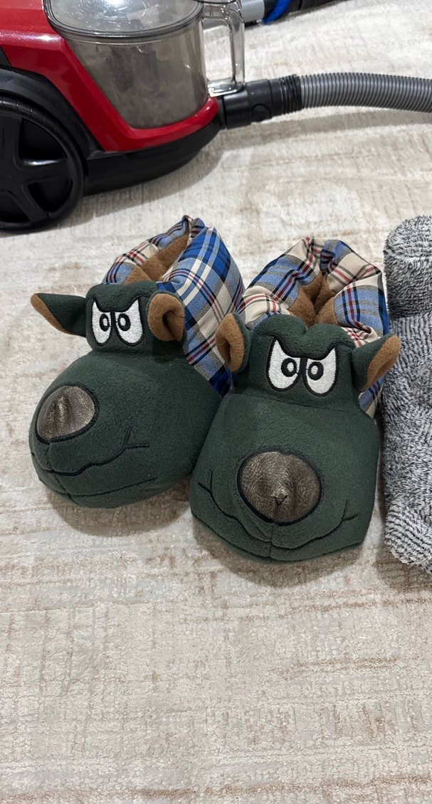 Ev pandufu - Görsel 2