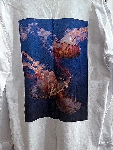 Closed uzun kollu tişört - Görsel 6