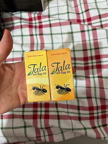 Tala karınca yumurtası yağı