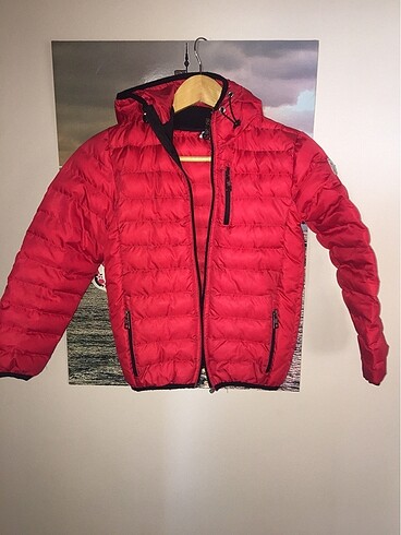 Moncler mont