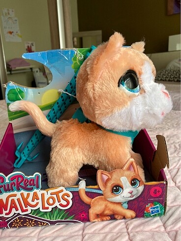 Walkalots kedi