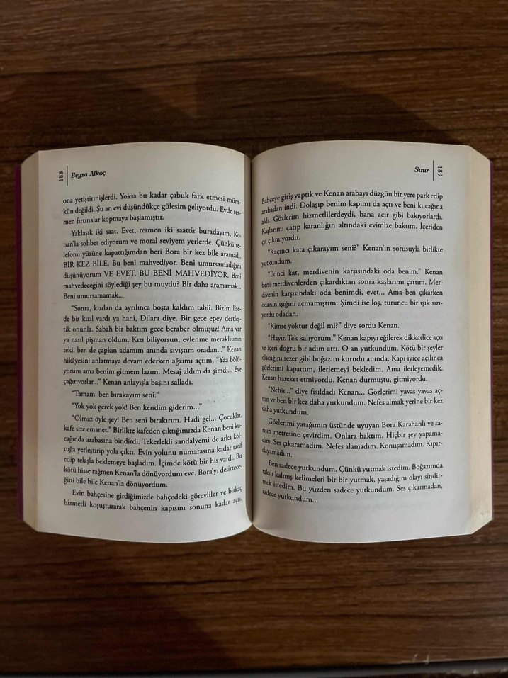 Sınır - Beyza Alkoç - Görsel 3