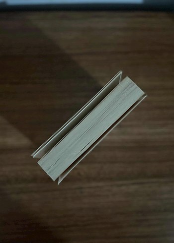 03:03 - Dolunayda Açan Çiçek - Görsel 3