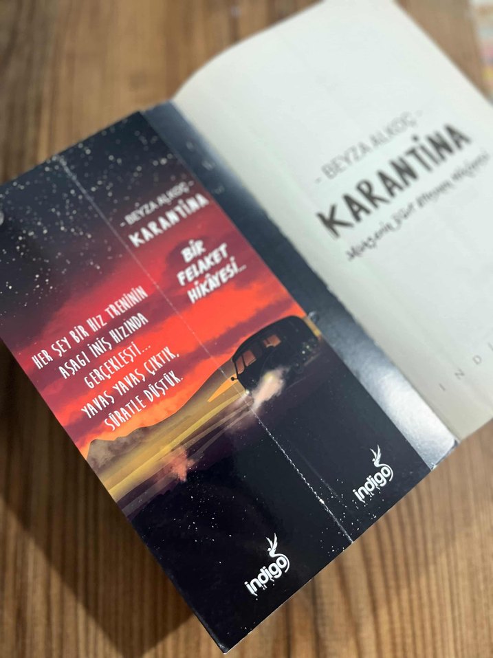 Karantina - Beyza Alkoç - Görsel 3