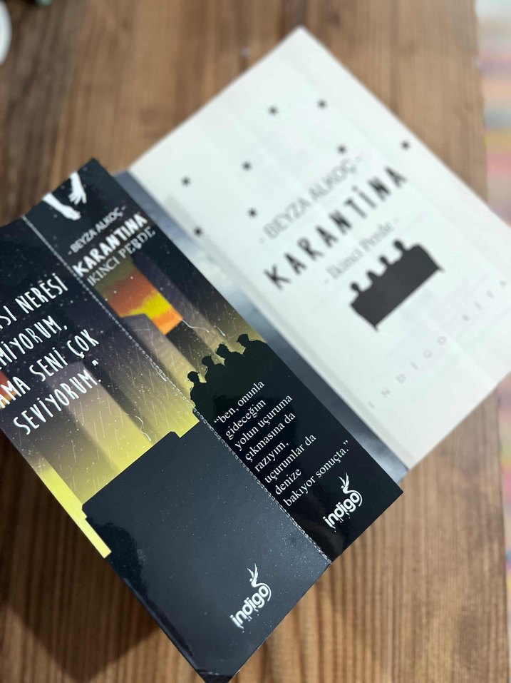 Karantina 2- Beyza Alkoç - Görsel 2