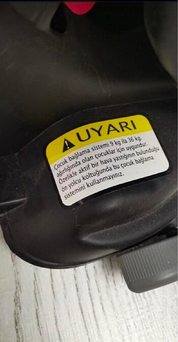 Koala oto koltuğu - Görsel 5