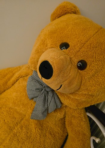Beden Büyük Sarı Peluş Ayı Oyuncak