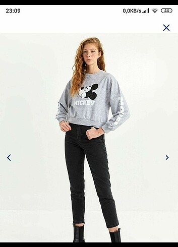 LC Waikiki Sweatshirt