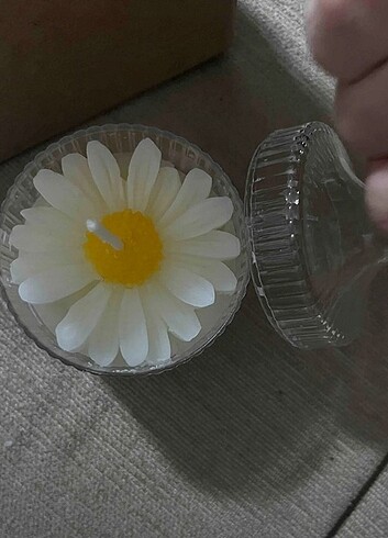 Beden Kokulu papatya model mum