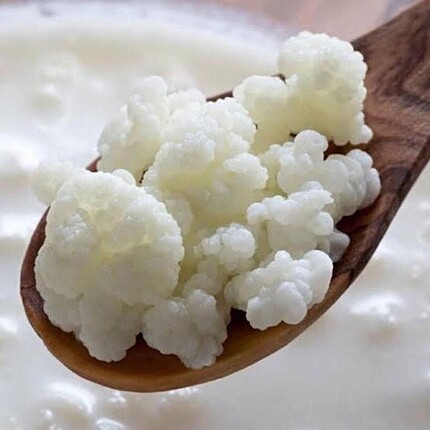 Diğer Kefir