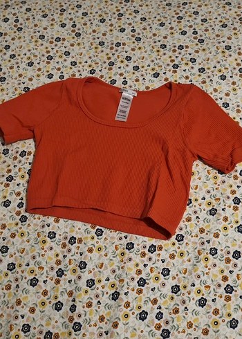 Kısa Kollu Crop Top