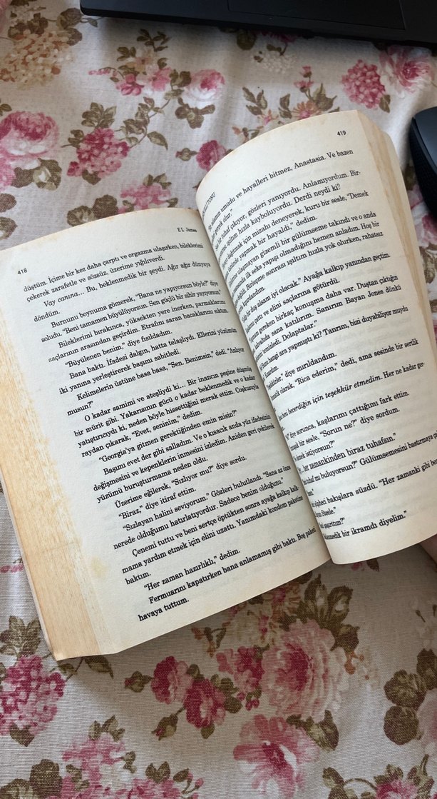 Grinin Elli Tonu - E L James - Görsel 3