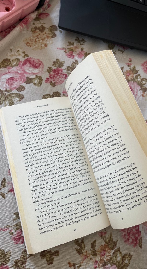 Sabahattin Ali - Değirmen Romanı - Görsel 3