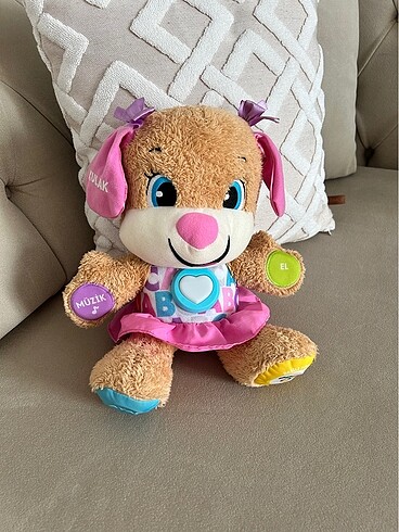 Eğitici köpekçik