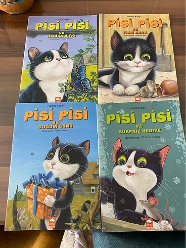 Pisi pisi seti 4 adet