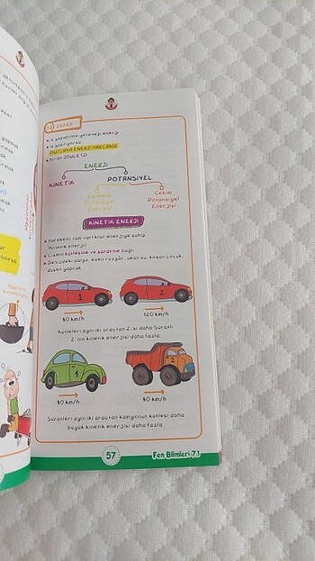 Beden Renk Tonguç 7. Sınıf Akıl Notlari