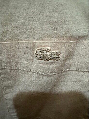 34 Beden Lacoste gömlek