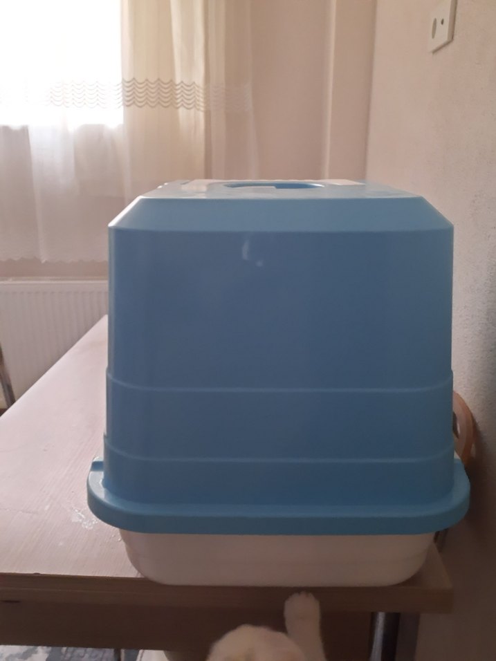 Pastel Mavi Kapalı Kedi Tuvaleti - Görsel 3