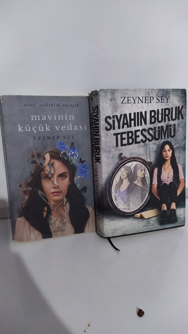 ipek ongun Arsen lüpen zeynep şey kitapları - Görsel 3