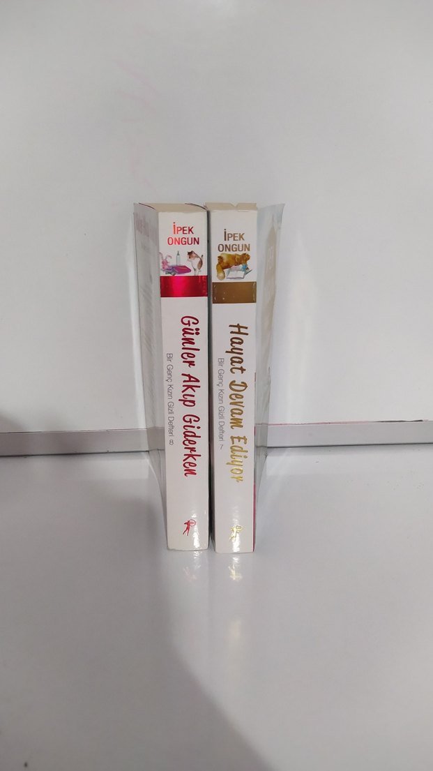 ipek ongun Arsen lüpen zeynep şey kitapları - Görsel 2