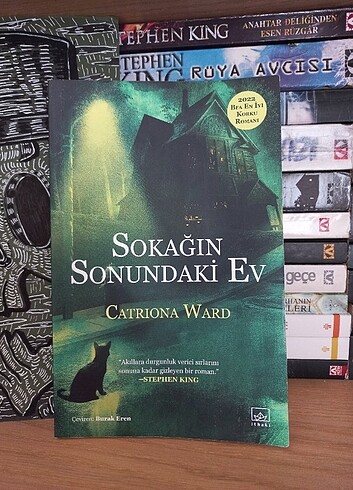 Sokağın sonundaki ev