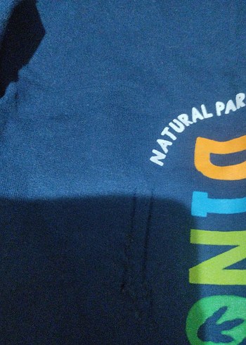 Renkli Baskılı Mavi Erkek Eşofman Altı - Görsel 3