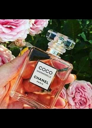 Chanel Coco Mademoiselle Bayan Parfümü 100 ml