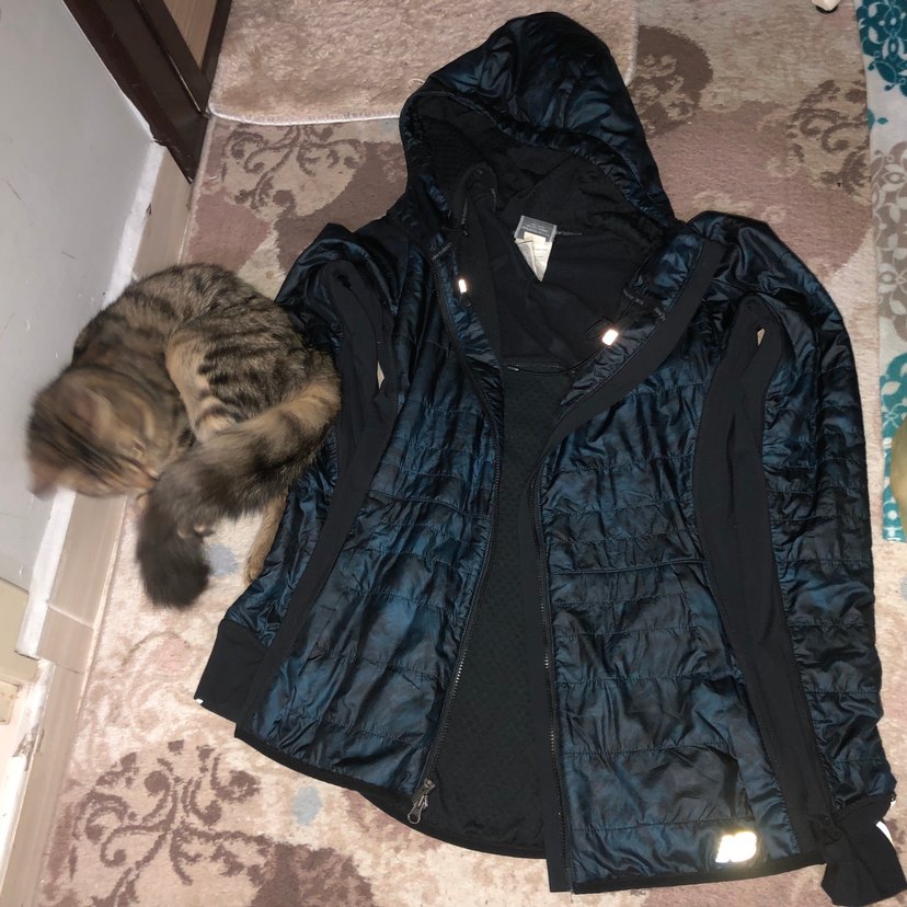 İnce rüzgarlık, spor montu reflektörlü baharlık mevsimlik - Görsel 2