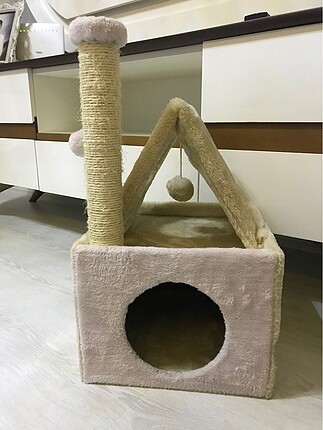 Kedi kulübesi