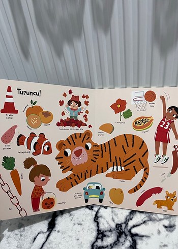 Büyük Renkler Kitabım - Çocuk Kitabı - Görsel 2