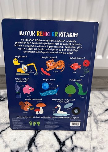 Büyük Renkler Kitabım - Çocuk Kitabı - Görsel 4