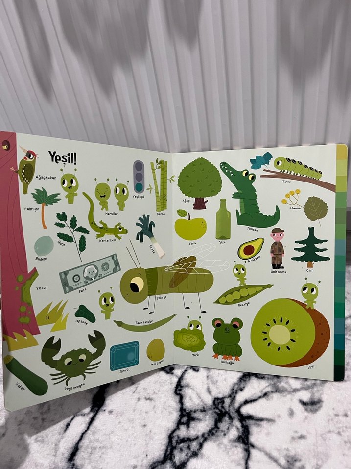 Büyük Renkler Kitabım - Çocuk Kitabı - Görsel 3