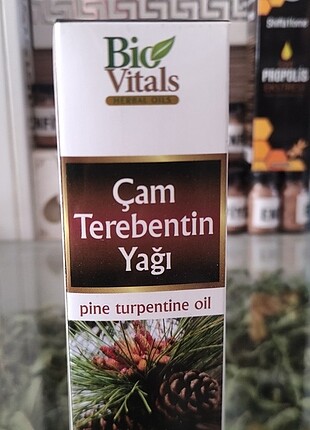 Çamterabenti