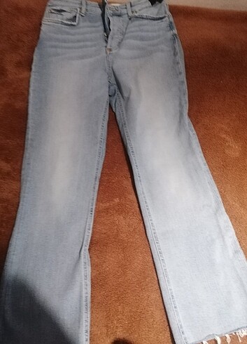 Zara jean 